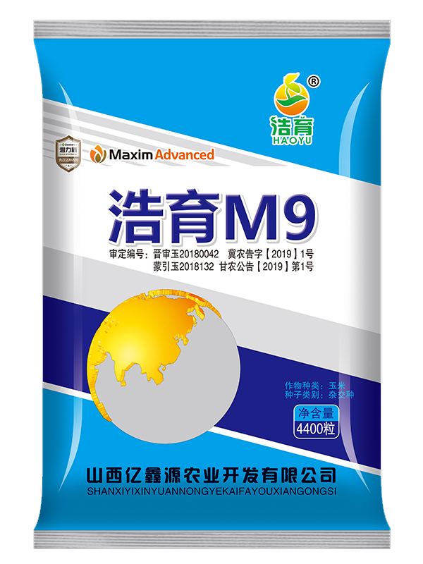 浩育M9  4400粒