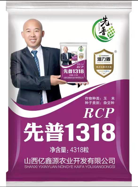 先普1318 4400粒