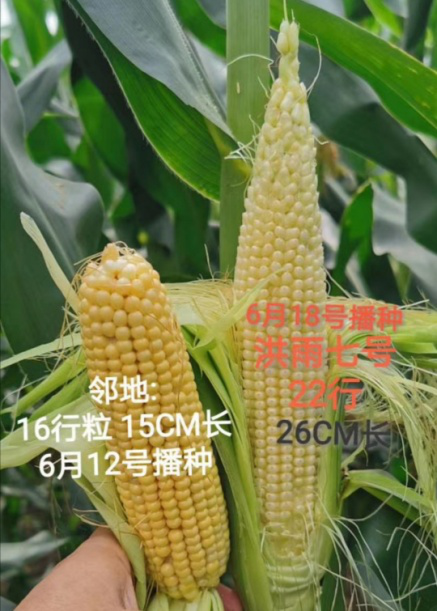 1598504040963500.png 微信圖片_20200827125012.png